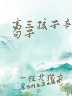 高三孩子辛苦的句子