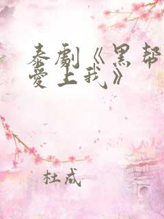 泰剧《黑帮少爷爱上我》