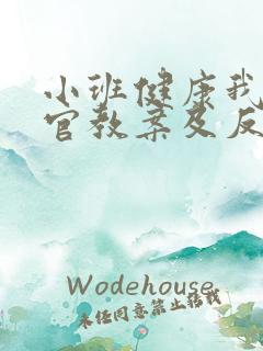 小班健康我的五官教案及反思