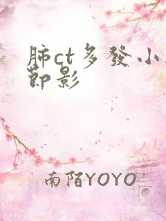 肺ct多发小结节影