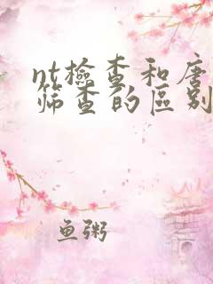 nt检查和唐氏筛查的区别