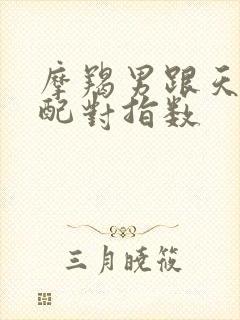 摩羯男跟天秤女配对指数