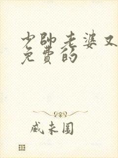 少帅老婆又跑了免费的