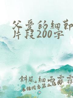 父爱的细节描写片段200字