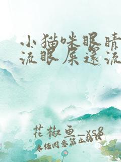 小猫咪眼睛红肿流眼屎还流眼泪