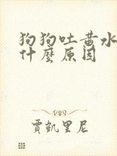 狗狗吐黄水水是什么原因