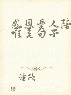 感恩爱人陪伴的唯美句子