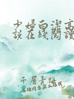 少妇白洁高义小说在线阅读