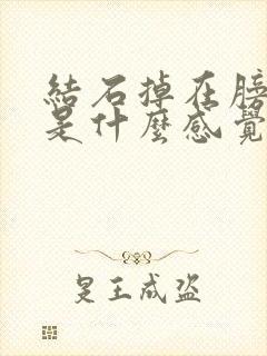 结石掉在膀胱里是什么感觉