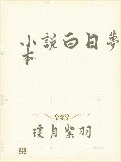 小说白日梦我完本