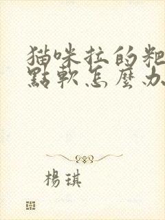 猫咪拉的粑粑有点软怎么办