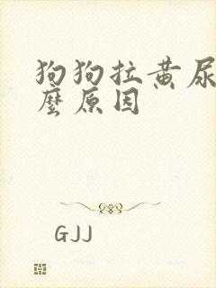 狗狗拉黄尿是什么原因