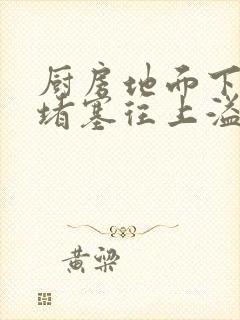 厨房地面下水道堵塞往上溢水怎么解决