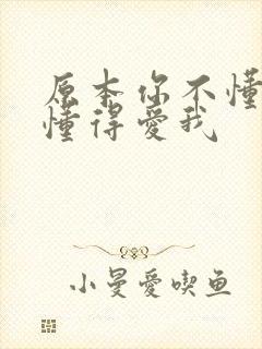 原本你不懂得不懂得爱我