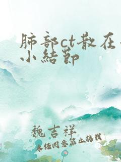 肺部ct散在微小结节