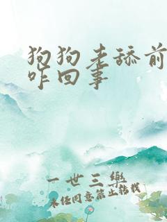 狗狗老舔前爪毛咋回事