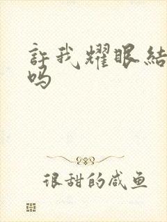 许我耀眼结局了吗