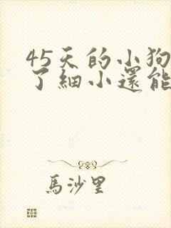 45天的小狗得了细小还能治好吗