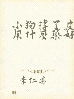 小狗得了皮肤病用什么药好