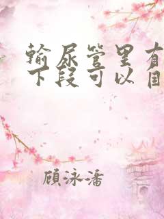 输尿管里有结石下段可以自行排出吗