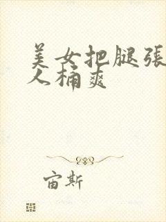 美女把腿张开男人桶爽