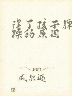 得了孩子脾气暴躁的原因