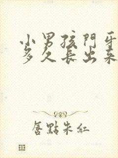 小男孩门牙掉了多久长出来才正常