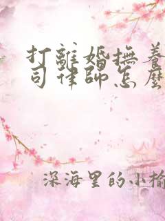 打离婚抚养权官司律师怎么收费