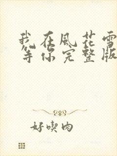 我在风花雪月中等你完整版