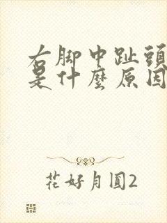 右脚中趾头麻木是什么原因引起的