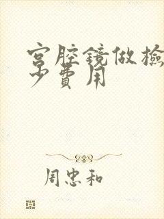 宫腔镜做检查多少费用