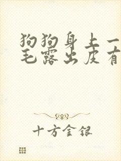 狗狗身上一块掉毛露出皮有红点