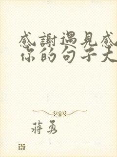 感谢遇见感恩有你的句子大全