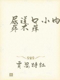 尿道口小肉粒不疼不痒