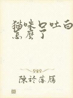 猫咪口吐白沫是怎么了