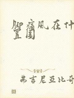 脚痛风在什么位置图