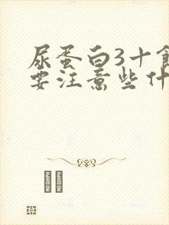 尿蛋白3十饮食要注意些什么