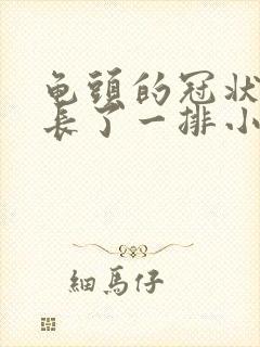 龟头的冠状沟上长了一排小肉疙瘩