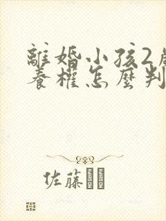 离婚小孩2岁抚养权怎么判