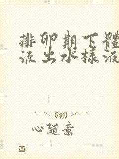 排卵期下体总是流出水样液体是怎么回事