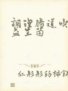 调理肠道吃什么益生菌