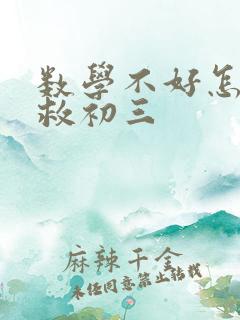 数学不好怎么补救初三