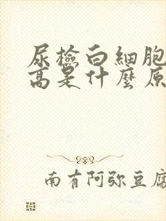 尿检白细胞计数高是什么原因