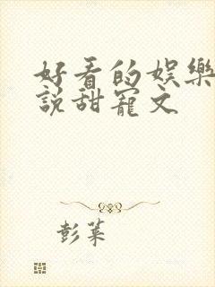 好看的娱乐圈小说甜宠文