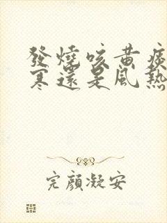 发烧咳黄痰是风寒还是风热