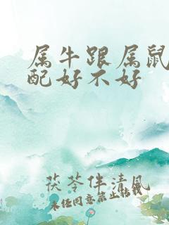 属牛跟属鼠的婚配好不好