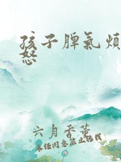 孩子脾气烦躁易怒