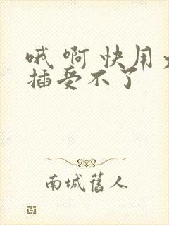 哦 啊 快用力插受不了