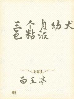 三个月幼犬吐白色粘液