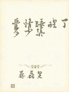 爱情睡醒了一共多少集